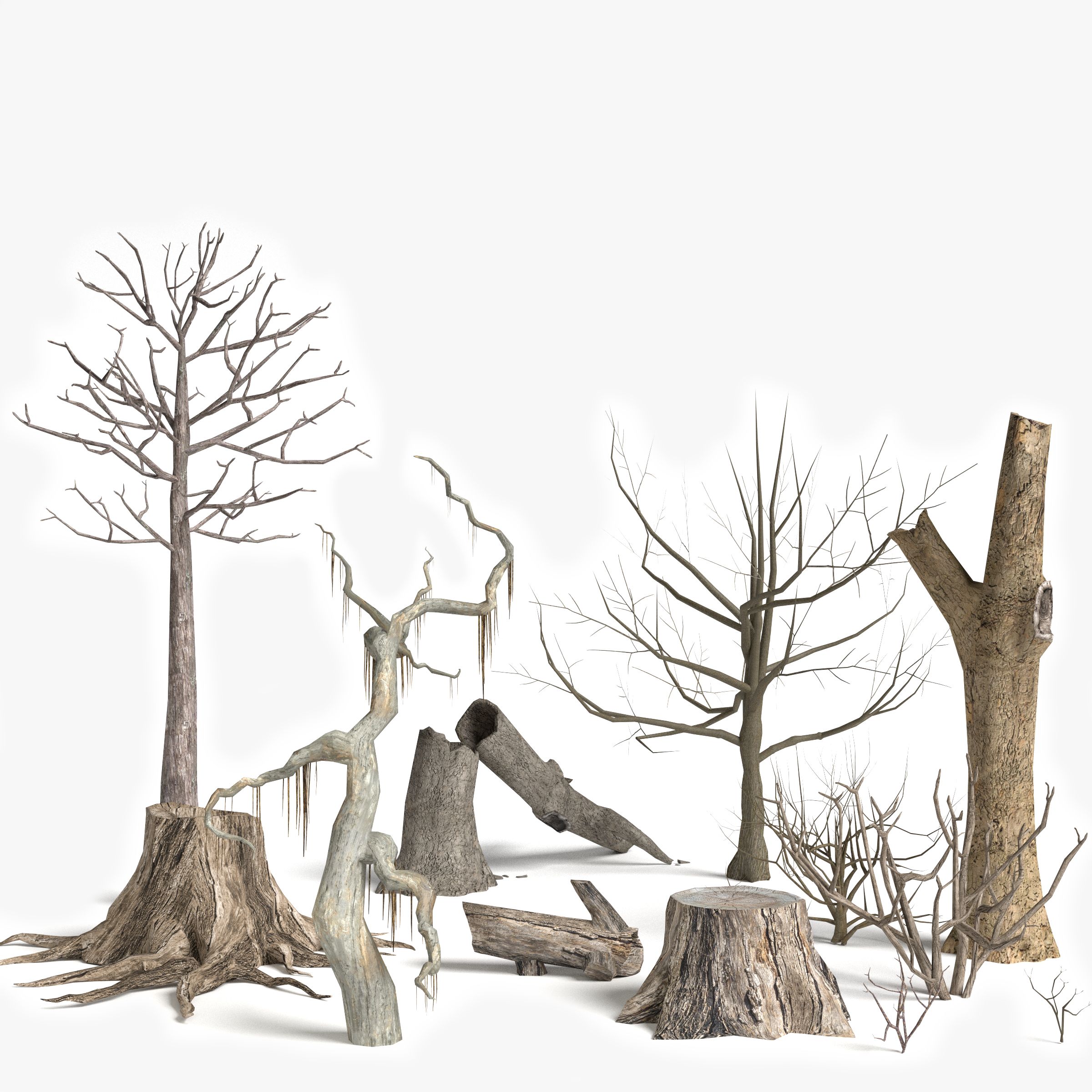 Dead Trees and Plants Collection