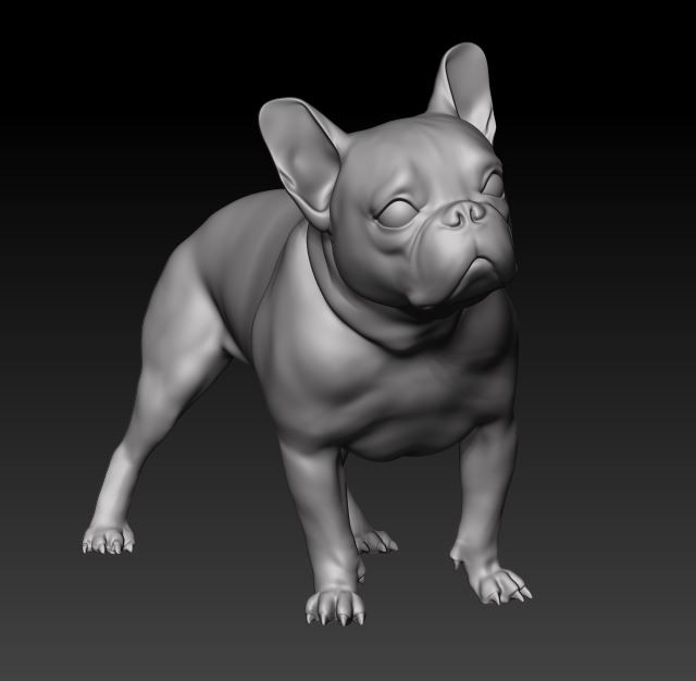 french bulldog