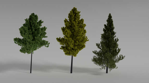 Realistic Trees Scene 3D