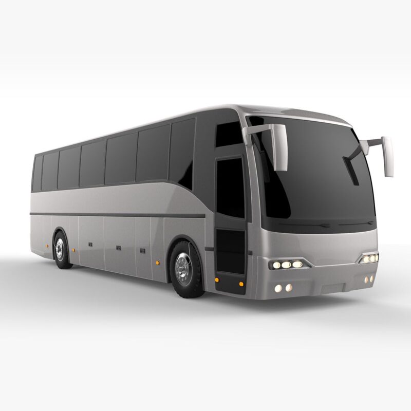VIP BUS